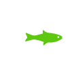 Fish Finder Hub